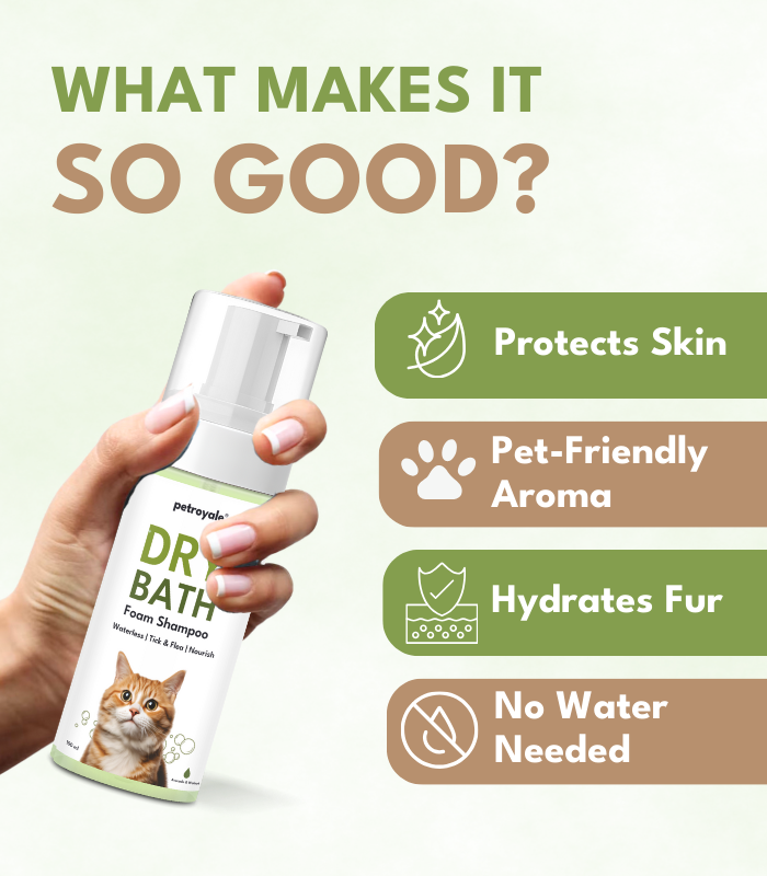 Dry Bath Foam Shampoo for Cats