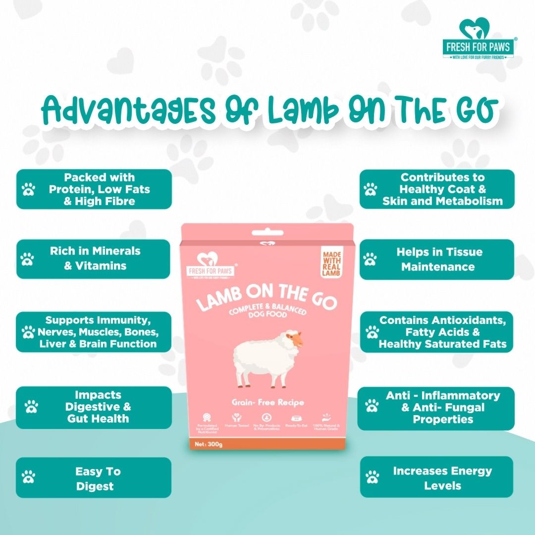 Fresh For Paws Wet Food for Dogs - Lamb On The Go