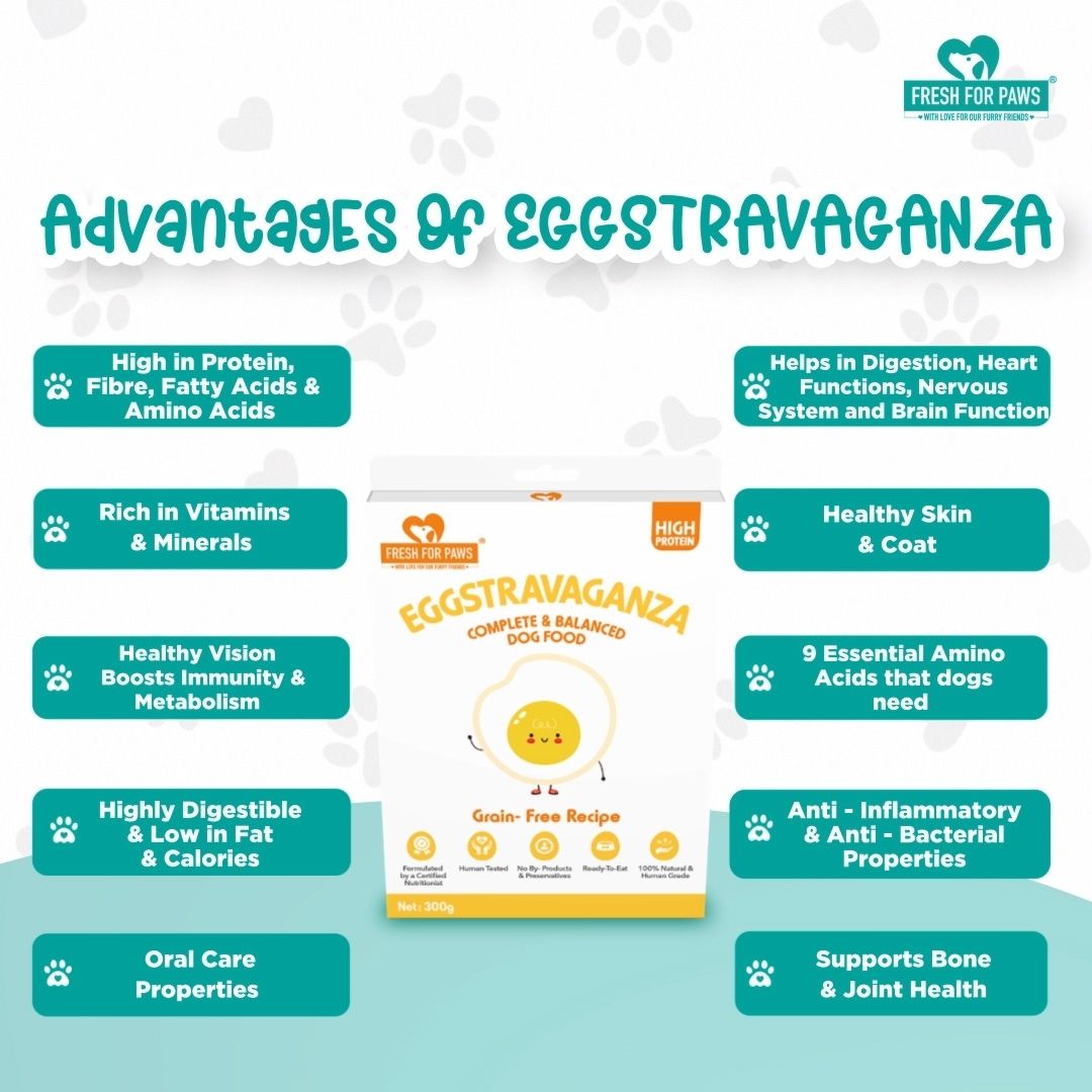 Fresh For Paws Wet Food for Dogs - Eggstravaganza