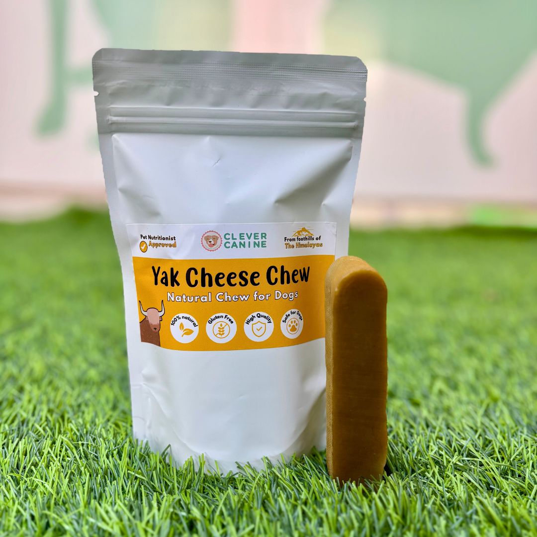 Clever Canine Yak Cheese Chew for Dogs