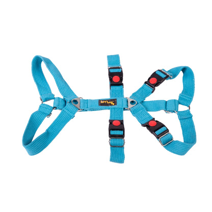Let’s Wag Double H-Harness for Dogs