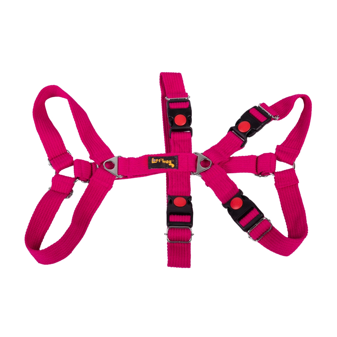 Let’s Wag Double H-Harness for Dogs