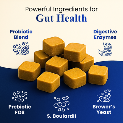 Petroyale Pre+Probiotic Soft Chews for Dogs - Complete Gastro Care