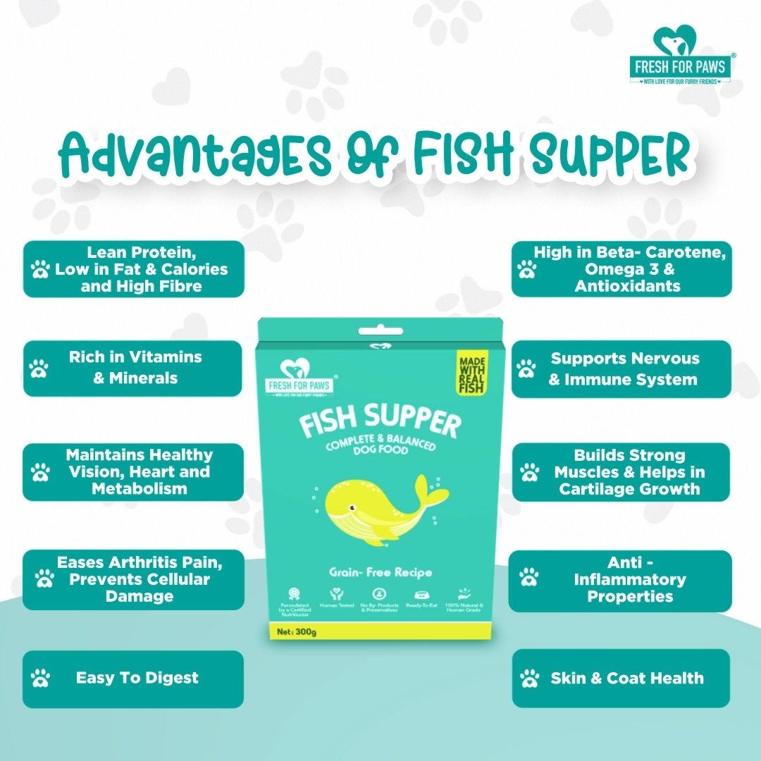 Fresh For Paws Wet Food for Dogs - Fish Supper