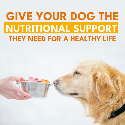 Multivitamin Chews for Dogs