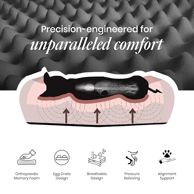 ComfyTails Snoozle Orthopedic Bed for Dogs