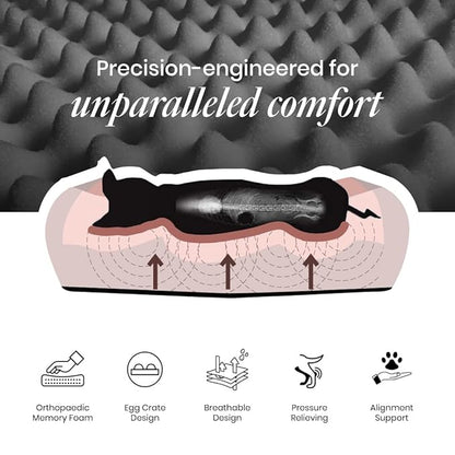 ComfyTails Snoozle Orthopedic Bed for Dogs