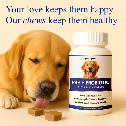 Petroyale Pre+Probiotic Soft Chews for Dogs - Complete Gastro Care