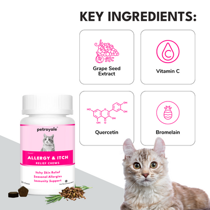 Allergy+Itch Relief Chews for Cats