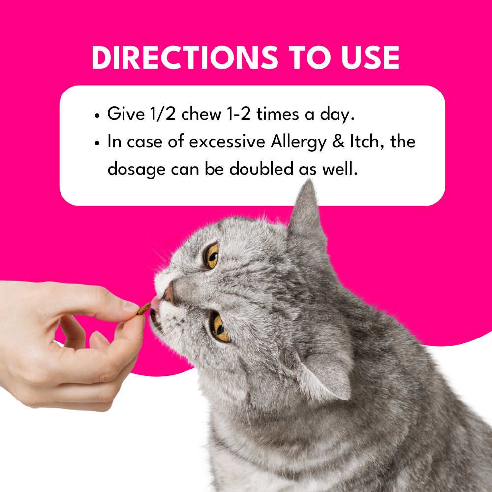 Allergy+Itch Relief Chews for Cats