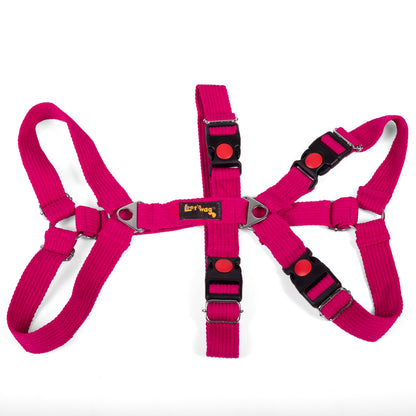Let’s Wag Double H-Harness for Dogs