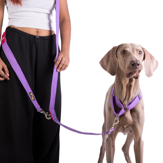 Let’s Wag Multi Purpose Leash for Dogs