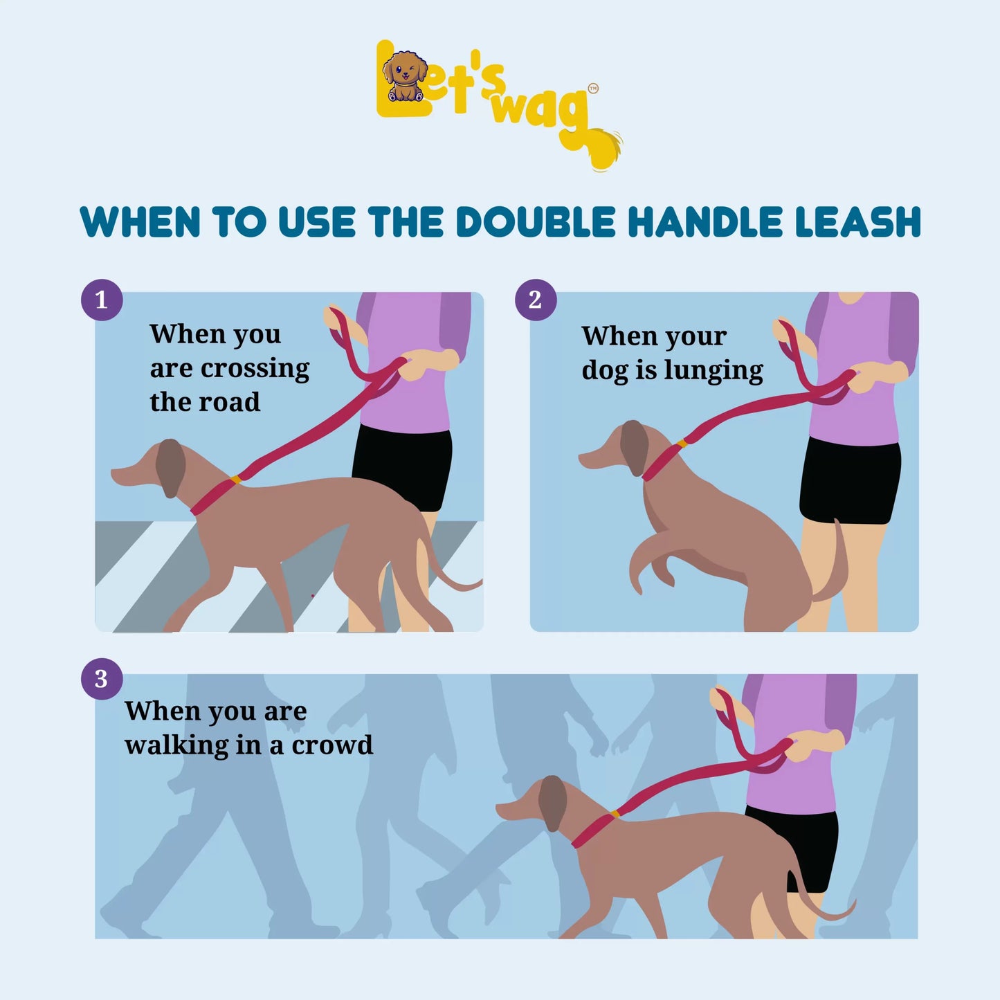 Double Handle Leash