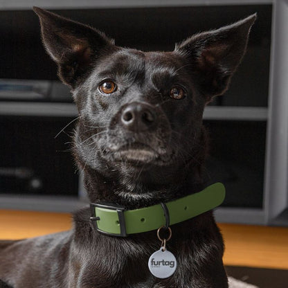 Smart Pet ID with GPS tracking - furtag