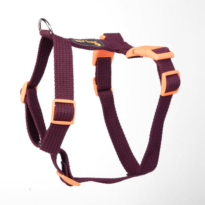 H-Harness - 1 inch