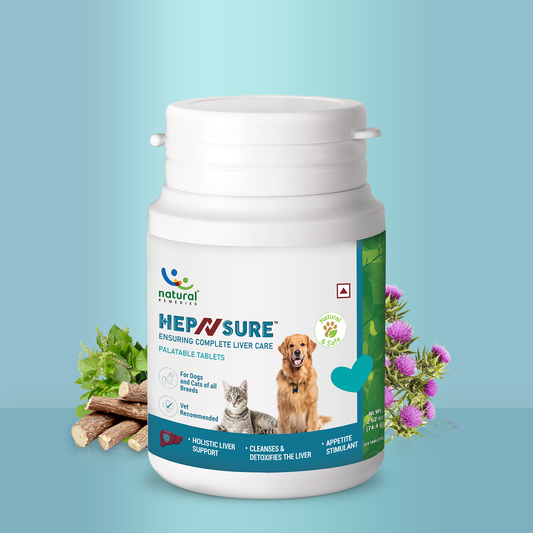 Pet Natural Remedies HepNSure - Liver Care Supplement For Dogs and Cats
