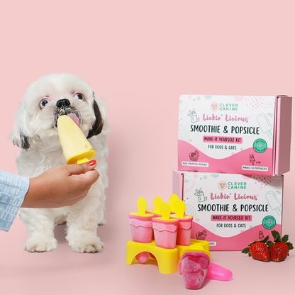 Smoothie & Popsicle Make it Yourself Kit for Dogs and Cats