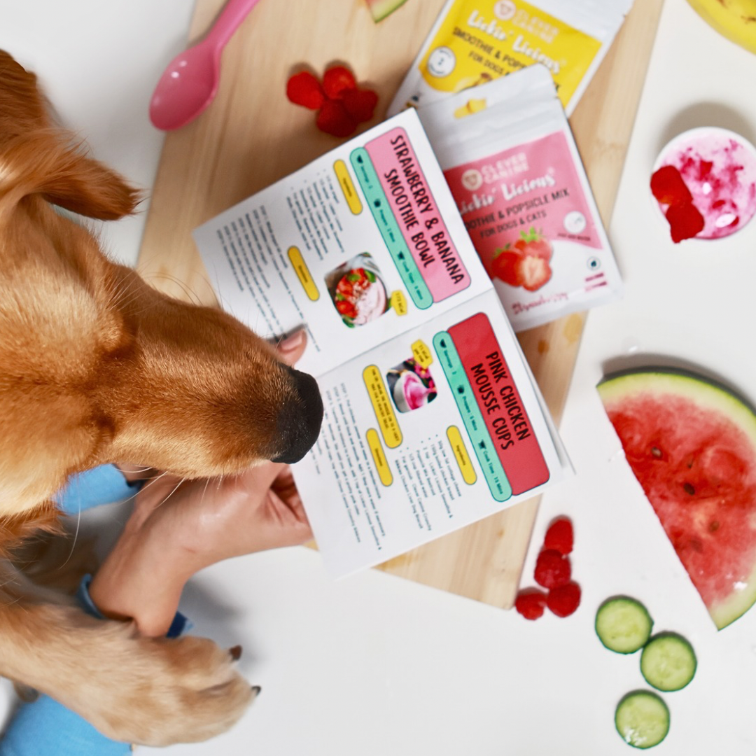 Clever Canine DIY Smoothie and Popsicle Mix for Dogs and Cats