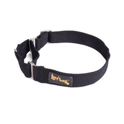 Martingale Collar