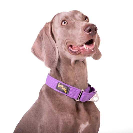 Let’s Wag Martingale Collar for Dogs