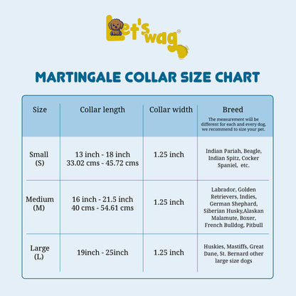 Martingale Collar