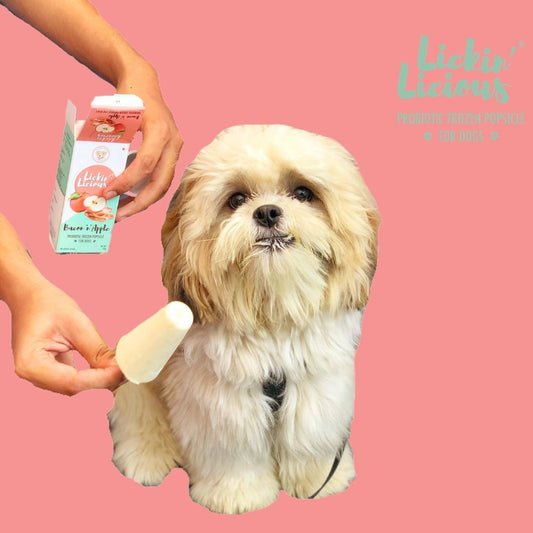 Clever Canine Frozen Yogurt for Dogs - Bacon 'n' Apple - Pack of 1