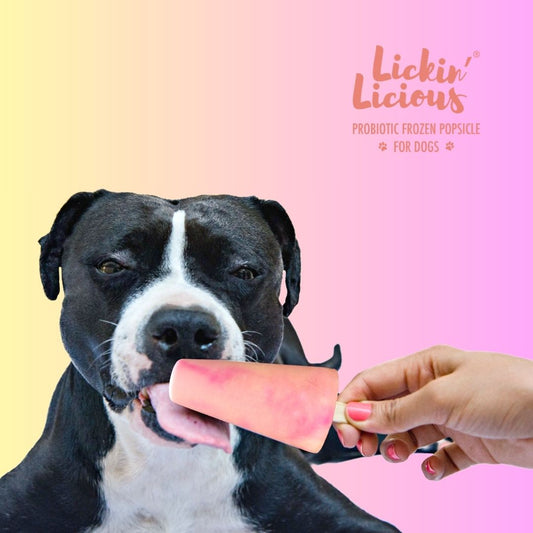 Clever Canine Frozen Yogurt for Dogs - Strawberry Banana - Pack of 1