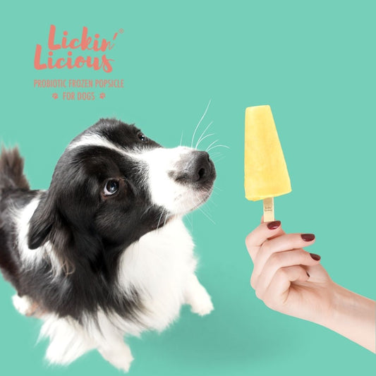 Clever Canine Frozen Yogurt for Dogs - Mango - Pack of 1