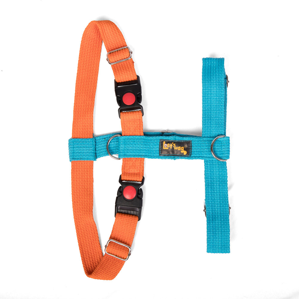 H-Harness - 1.25 inch