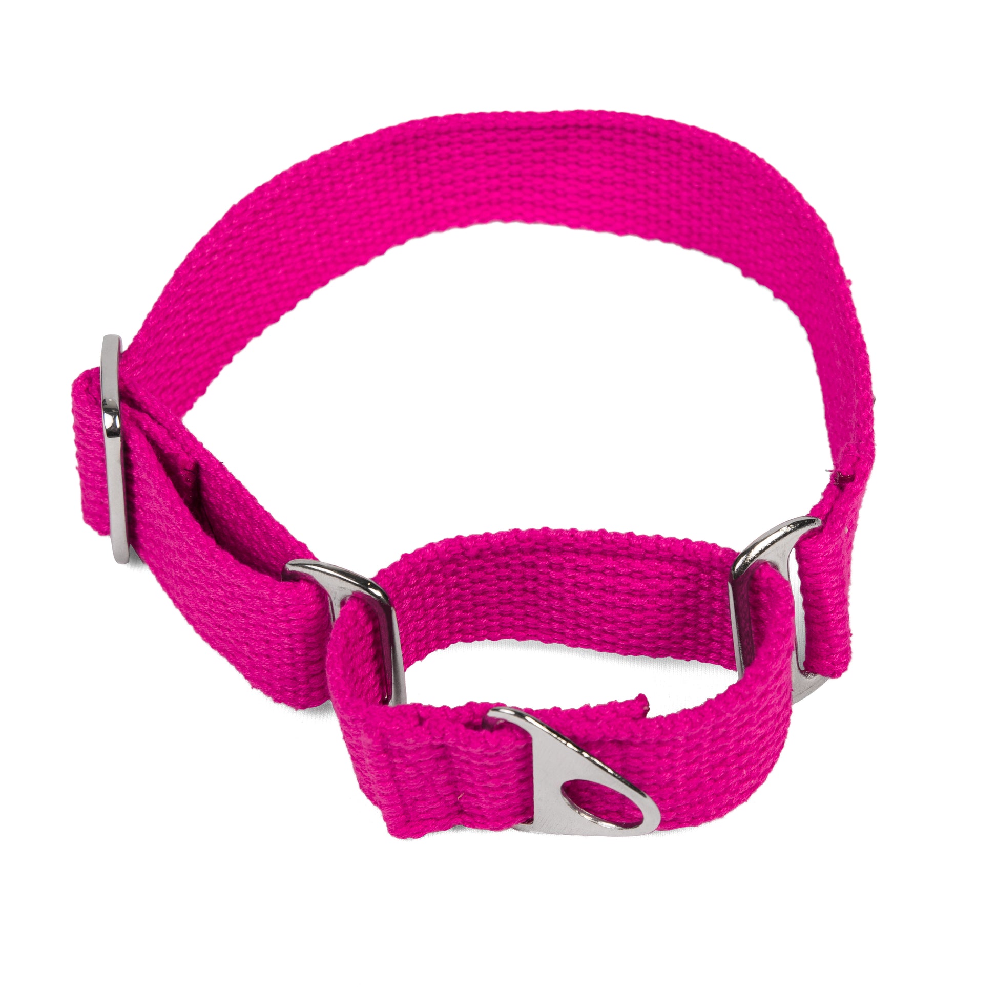 Let’s Wag Martingale Collar for Dogs