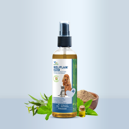 Pet Natural Remedies Reliflam Itch and Relief For Dogs and Cats - 75ml