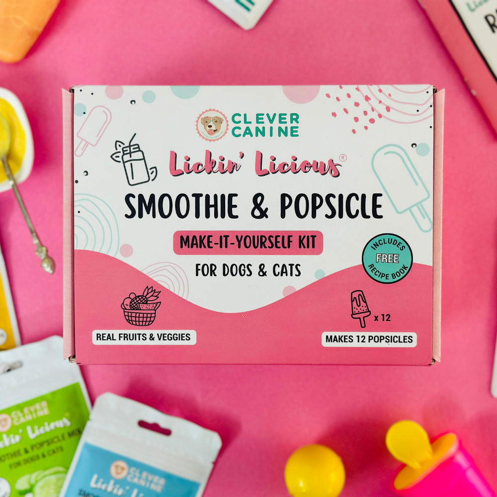Smoothie & Popsicle Make it Yourself Kit for Dogs and Cats