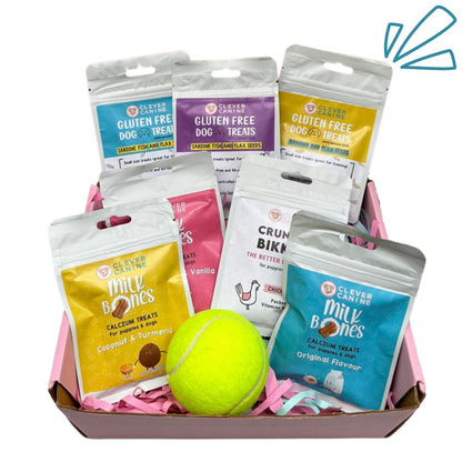 Clever Canine Treat-O-Box for Dogs