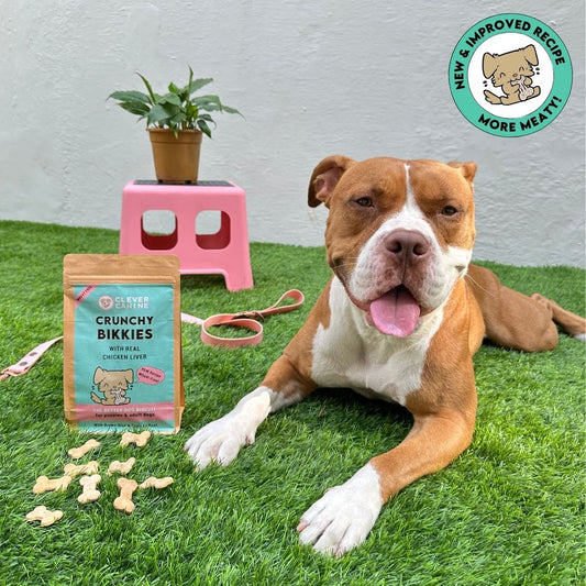 Clever Canine Crunchy Bikkies Wheat Free Dog Biscuits - 200g