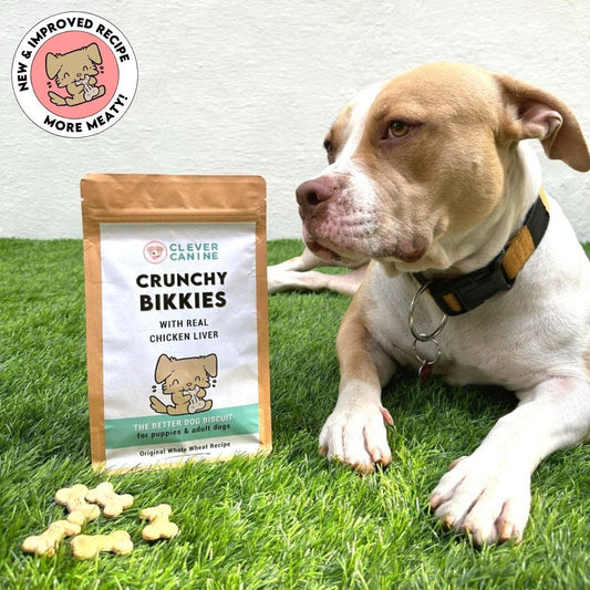 Clever Canine Crunchy Bikkies Dog Biscuits - 200g