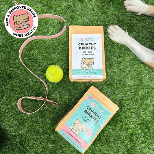 Clever Canine Crunchy Bikkies Combo for Dogs - Pack of 2