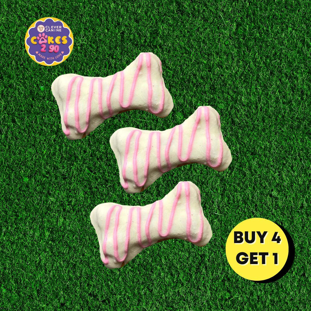 Clever Canine Cakes2Go Chicken n Pumpkin Bite Size Pupcake for Dogs and Cats - Pack of 2 (6 pcs)