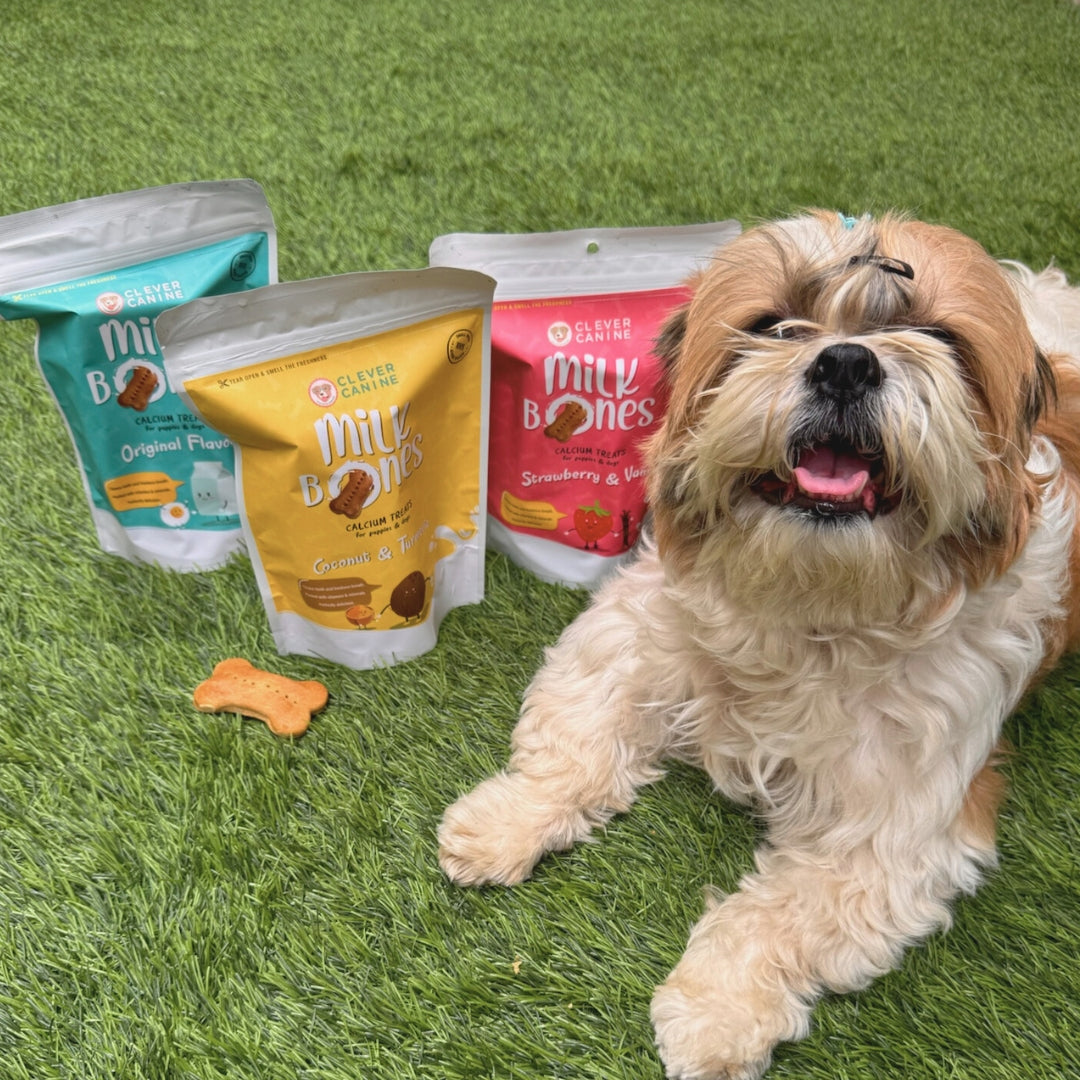 Clever Canine Milk Bones for Dogs Bundle Assorted - Pack of 3