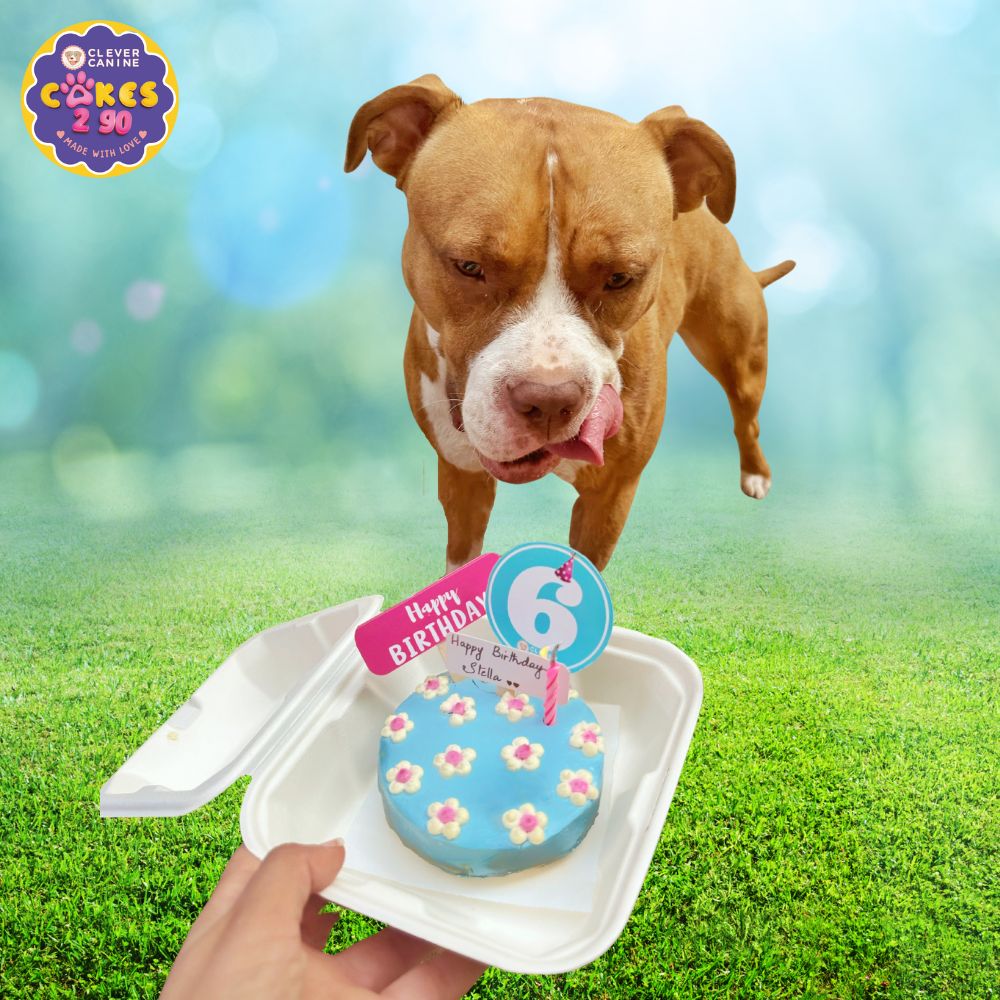 Chicken liver cake for dogs sale